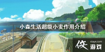 ��Сɭ�������С����ʲô���� ����С�����ý���