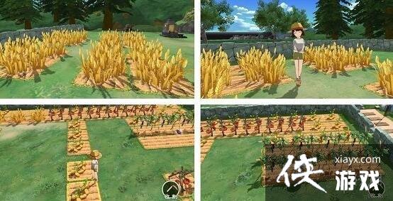 ��Сɭ�������С����ʲô���� ����С�����ý���