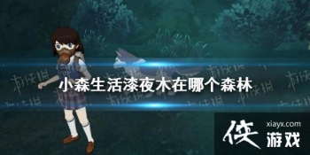 ��Сɭ�����ҹľ���ĸ�ɭ�� ��ҹľλ�ý���