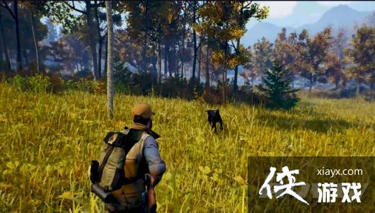 《辽阔旷野》评测:一场并不省心的旷野之旅 《辽阔旷野》评测:一场并不省心的旷野之旅