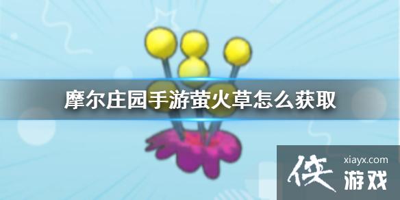 ��Ħ��ׯ԰���Ρ�ө�����ô��ȡ ө�����������