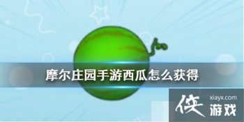 ��Ħ��ׯ԰���Ρ�������ô��� ������ʲô��