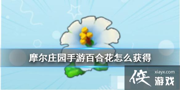 ��Ħ��ׯ԰���Ρ��ٺϻ���ô��� �ٺϻ���������