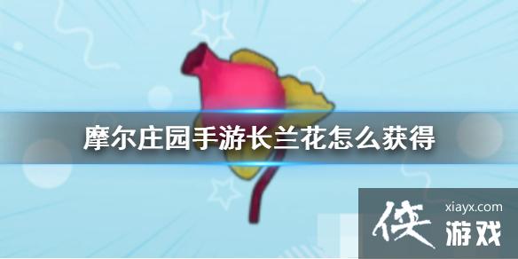 ��Ħ��ׯ԰���Ρ���������ô��� ��������÷���