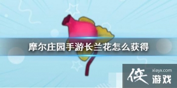 ��Ħ��ׯ԰���Ρ���������ô��� ��������÷���