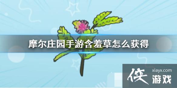 ��Ħ��ׯ԰���Ρ����߲���ô��� ���߲ݻ�÷���