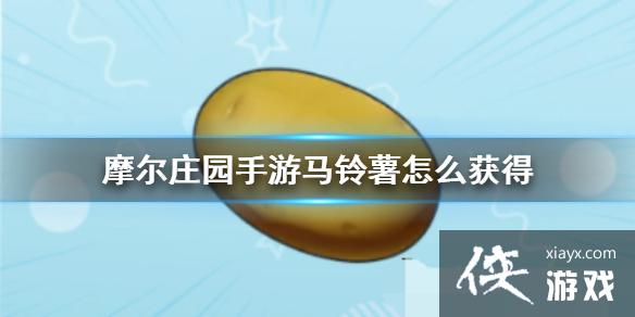 ��Ħ��ׯ԰���Ρ���������ô��� ��������÷���