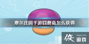 ��Ħ��ׯ԰���Ρ���Ģ����ô��� ��Ģ������