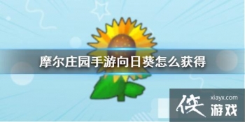 ��Ħ��ׯ԰���Ρ����տ���ô��� ���տ���÷���