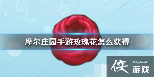 Ħׯ԰Ρõ廨ô õ廨Ļȡ