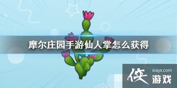 ��Ħ��ׯ԰���Ρ���������ô��� �����ƹ���