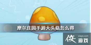 ��Ħ��ׯ԰���Ρ���ͷ������ ��ͷ������