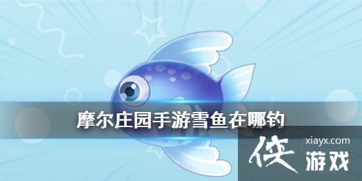 ��Ħ��ׯ԰���Ρ�ѩ�����ĵ� ѩ�㹥��