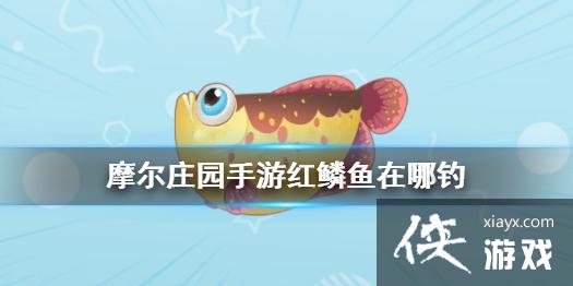 ��Ħ��ׯ԰���Ρ����������ĵ� �����㹥��