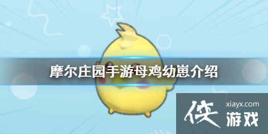 ��Ħ��ׯ԰���Ρ�ĸ�����̽��� ĸ�����̹���