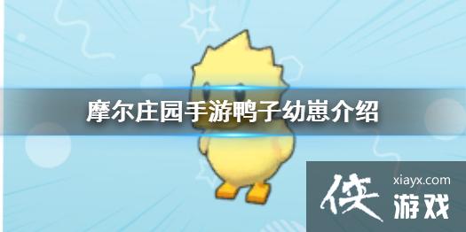 ��Ħ��ׯ԰���Ρ�Ѽ�����̽��� Ѽ�����̹���