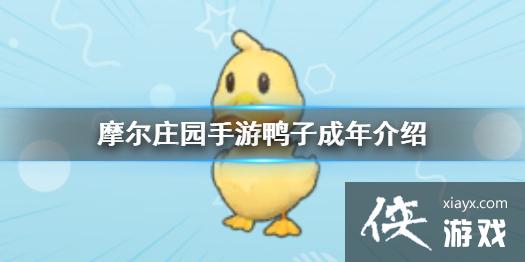 ��Ħ��ׯ԰���Ρ�Ѽ�ӳ������ Ѽ�ӳ��깥��