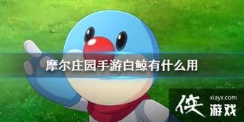 ��Ħ��ׯ԰���Ρ��׾���ʲô�� �װ׾����ý���