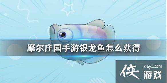 ��Ħ��ׯ԰���Ρ���������ô��� �����㹥��