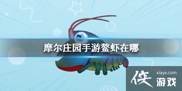 ��Ħ��ׯ԰���Ρ���Ϻ���� ��Ϻ����