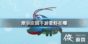 ��Ħ��ׯ԰���Ρ���Ϻ���� ��Ϻ����