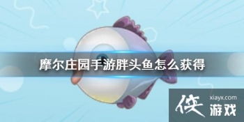 ��Ħ��ׯ԰���Ρ���ͷ����ô��� ��ͷ�㹥��