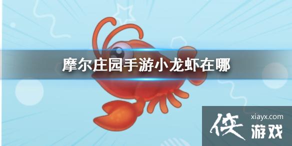 ��Ħ��ׯ԰���Ρ�С��Ϻ���� С��Ϻλ��