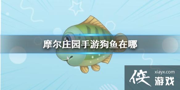 ��Ħ��ׯ԰���Ρ��������� ����λ��