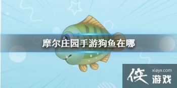 ��Ħ��ׯ԰���Ρ��������� ����λ��