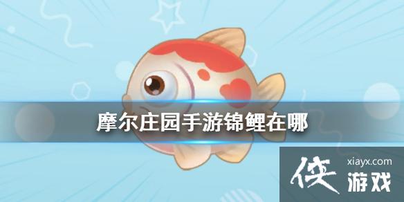 《摩尔庄园手游》锦鲤在哪 锦鲤位置 《摩尔庄园手游》锦鲤在哪 锦鲤位置