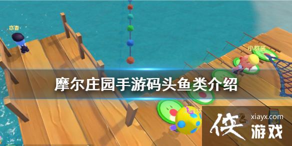 ��Ħ��ׯ԰���Ρ���ͷ������� ���๥��