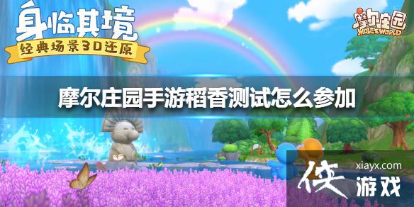 《摩尔庄园手游》稻香测试怎么参加 稻香测试参加方法 《摩尔庄园手游》稻香测试怎么参加 稻香测试参加方法