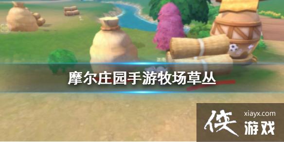 《摩尔庄园手游》牧场草丛位置分享 牧场草丛都在哪 《摩尔庄园手游》牧场草丛位置分享 牧场草丛都在哪