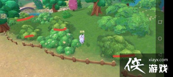 《摩尔庄园手游》牧场草丛位置分享 牧场草丛都在哪 《摩尔庄园手游》牧场草丛位置分享 牧场草丛都在哪