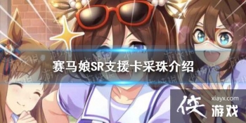 �����������Ρ�����SR֧Ԯ����ô�� ��֧Ԯ������Ч��