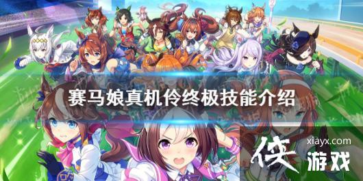 �����������Ρ�����漼����ʲô �������з���