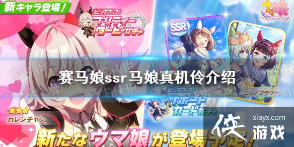 《赛马娘手游》真机伶怎么样 ssr马娘真机伶介绍 《赛马娘手游》真机伶怎么样 ssr马娘真机伶介绍