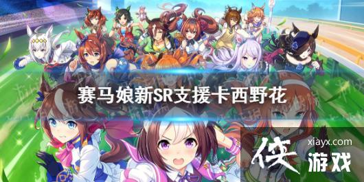 《赛马娘手游》SR西野花支援卡怎么样 新西野花支援卡满破效果 《赛马娘手游》SR西野花支援卡怎么样 新西野花支援卡满破效果