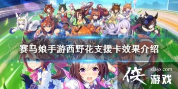 �����������Ρ���Ұ��֧Ԯ��Ч������ ��Ұ��֧Ԯ��Ч����ʲô