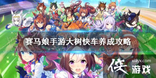 《赛马娘手游》大树快车怎么养 大树快车养成攻略 《赛马娘手游》大树快车怎么养 大树快车养成攻略