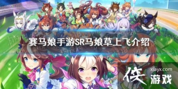 �����������Ρ�sr���Ϸ����Խ��� sr������Ϸ�ͼ��