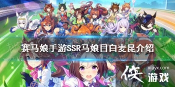 �����������Ρ�ssrĿ���������� ssr����Ŀ������ͼ��