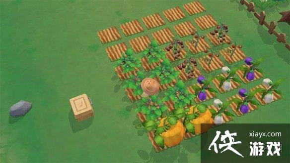 ��Ħ��ׯ԰���Ρ�̫��������ֲ���� ���ӵ�̫���λ����