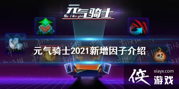 ��Ԫ����ʿ��2021��������һ�� 2021��������������ʲô