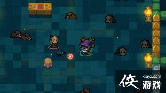 ��Ԫ����ʿ������ľżƤ����ô�� ����������ľżƤ����Чչʾ