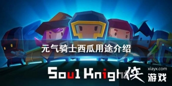 ��Ԫ����ʿ��������ʲô�� ������;����