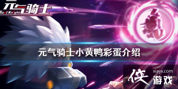 ��Ԫ����ʿ��С��Ѽ��ʲô�� С��Ѽ�ʵ�����