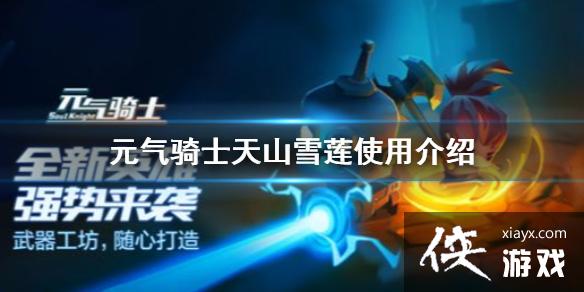 ��Ԫ����ʿ����ɽѩ�������õ��� ��ɽѩ��ʹ�ý���