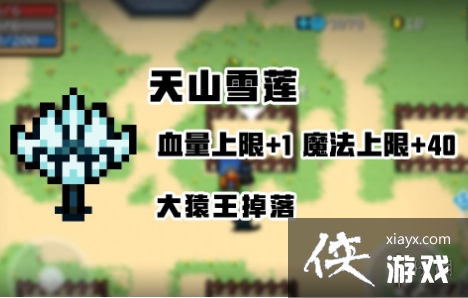 ��Ԫ����ʿ����ɽѩ�������õ��� ��ɽѩ��ʹ�ý���