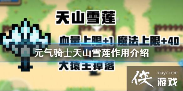 就是小編給大家帶來的關於元氣騎士新植物天上雪蓮有什麼用的全部攻略